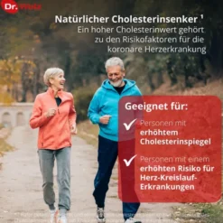 CHOLESTERINREDUKTION Dr.Wolz Pulver 224 g