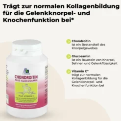 CHONDROITIN GLUCOSAMIN Kapseln 120 Stück