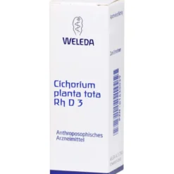 CICHORIUM PLANTA tota Rh D 3 Dilution 20 ml