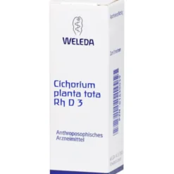CICHORIUM PLANTA tota Rh D 3 Dilution 20 ml