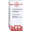 CIMICIFUGA D 6 Dilution 20 ml