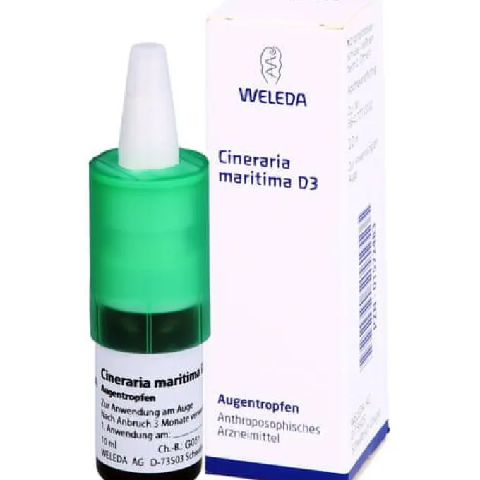 CINERARIA maritima D 3 Augentropfen 10 ml