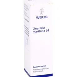 CINERARIA maritima D 3 Augentropfen 10 ml