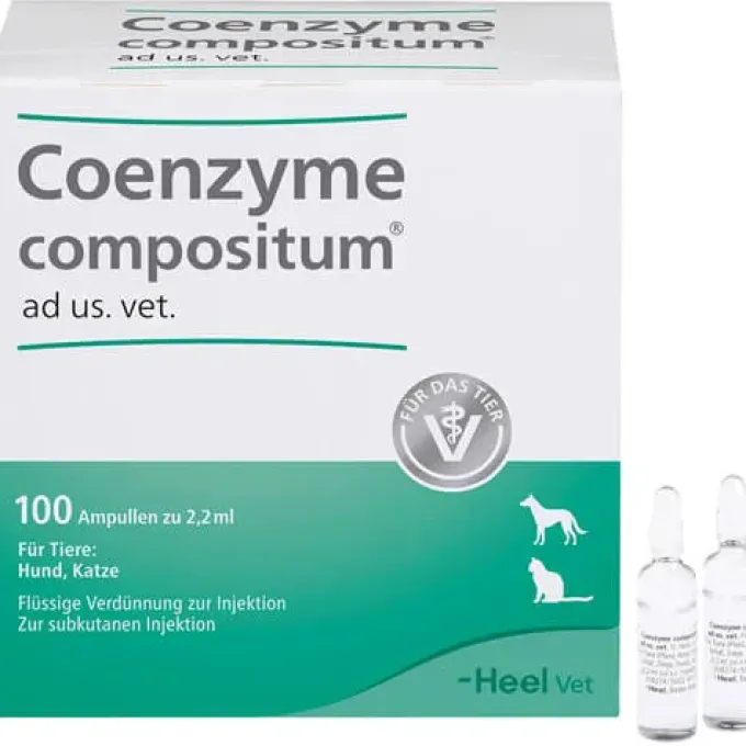 COENZYME COMPOSITUM ad us.vet.Ampullen 100 St