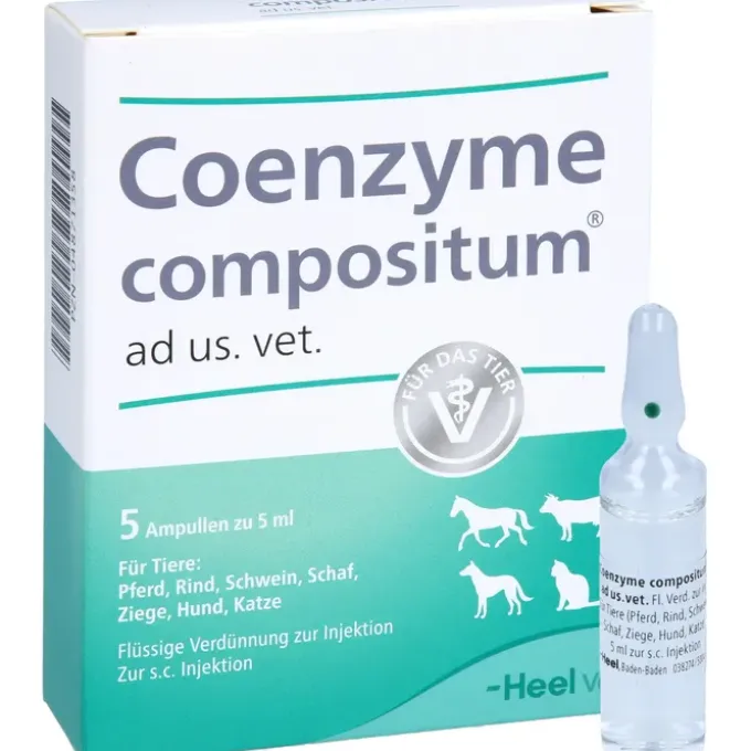 COENZYME COMPOSITUM ad us.vet.Ampullen 5X5 ml