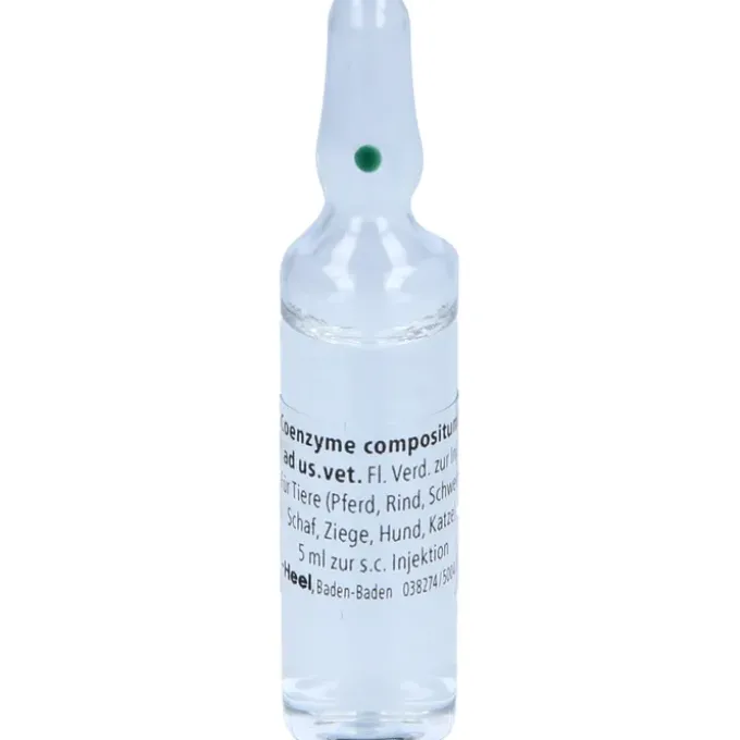 COENZYME COMPOSITUM ad us.vet.Ampullen 5X5 ml