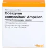 COENZYME COMPOSITUM Ampullen 10 St