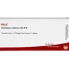 COLUMNA anterior GL D 5 Ampullen 10X1 ml