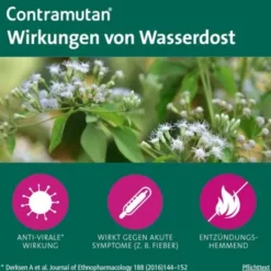 CONTRAMUTAN Mischung 20 ml