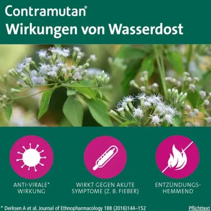 CONTRAMUTAN Mischung 20 ml