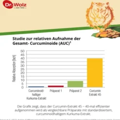 CURCUMIN EXTRAKT 45 Dr.Wolz Kapseln 90 Stück