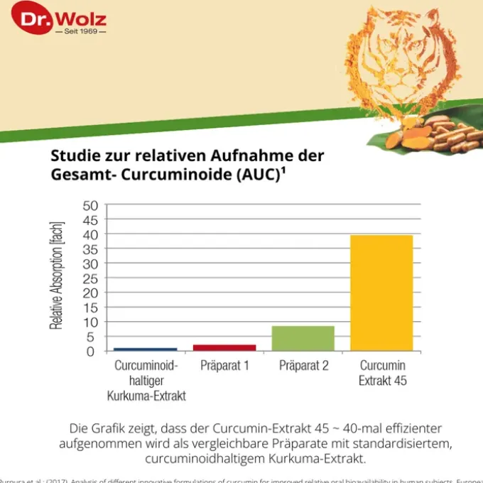 CURCUMIN EXTRAKT 45 Dr.Wolz Kapseln 90 Stück