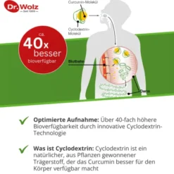 CURCUMIN EXTRAKT 45 Dr.Wolz Kapseln 90 Stück
