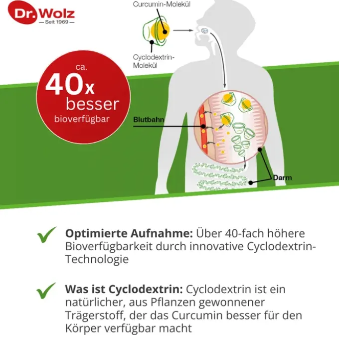 CURCUMIN EXTRAKT 45 Dr.Wolz Kapseln 90 Stück