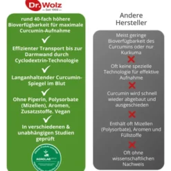 CURCUMIN EXTRAKT 45 Dr.Wolz Kapseln 90 Stück