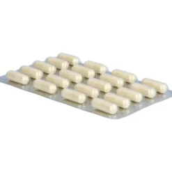 DARMFLORA Aktiv Plus 100 Mrd.Bakterien+7 Vitamine 40 Stück