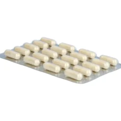 DARMFLORA Aktiv Plus 100 Mrd.Bakterien+7 Vitamine 40 Stück