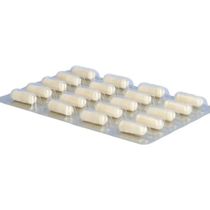 DARMFLORA plus select Kapseln 40 Stück