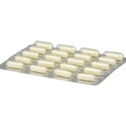 DARMFLORA plus URO Kapseln 40 Stück