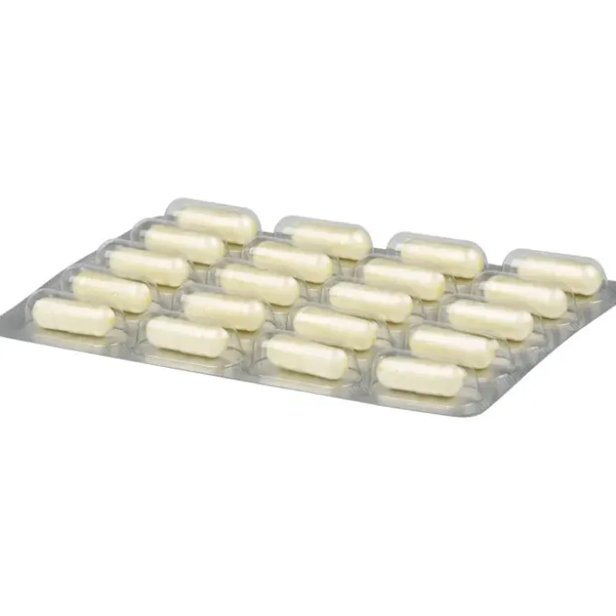 DARMFLORA plus URO Kapseln 40 Stück