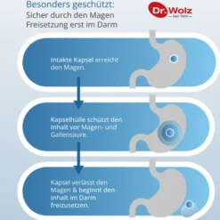 DARMFLORA plus URO Kapseln 40 Stück