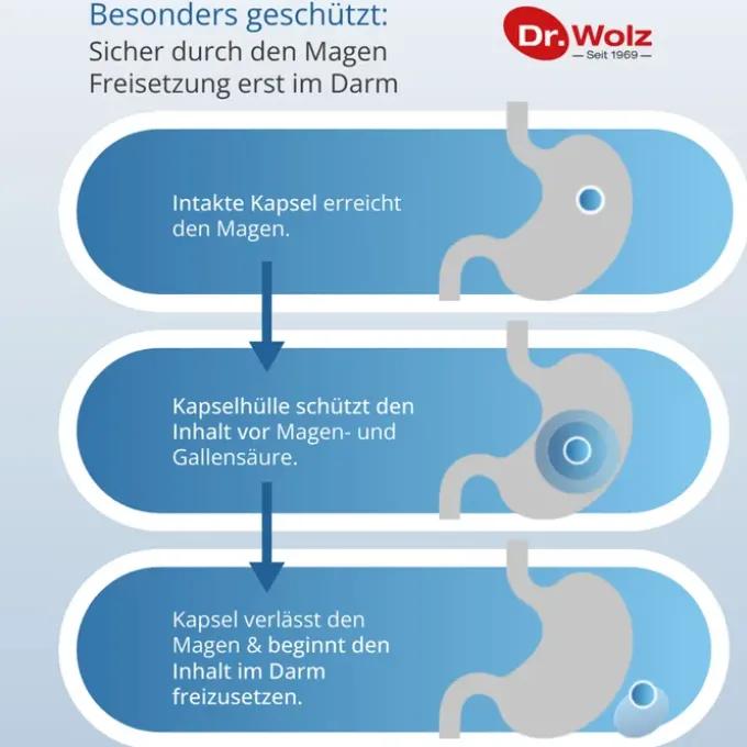 DARMFLORA plus URO Kapseln 40 Stück