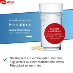 DARMFLORA plus URO Kapseln 40 Stück