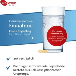 DARM PRO RDS magensaftresistente Kapseln 60 Stück