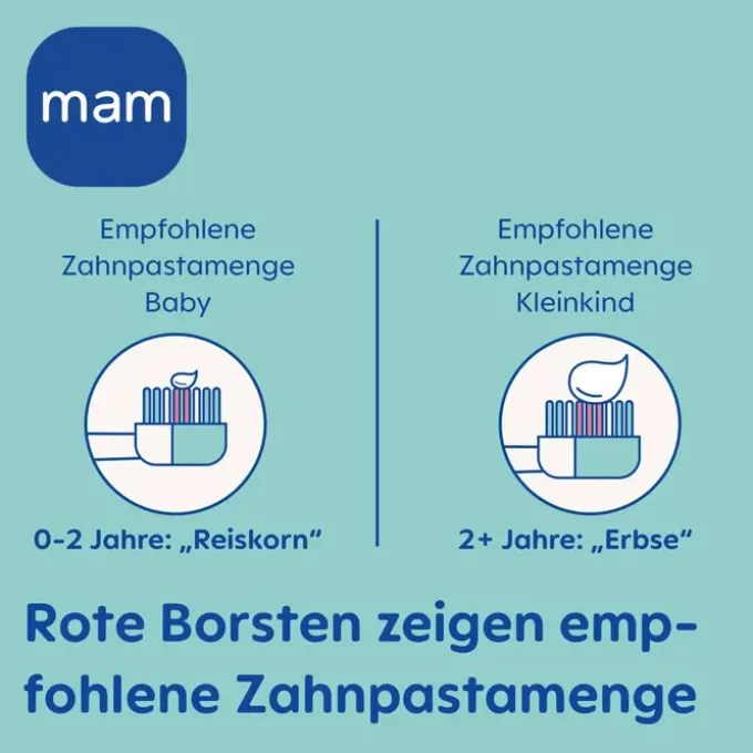 DENTINOX Zahncreme Baby+Lernzahnbürste 30 ml