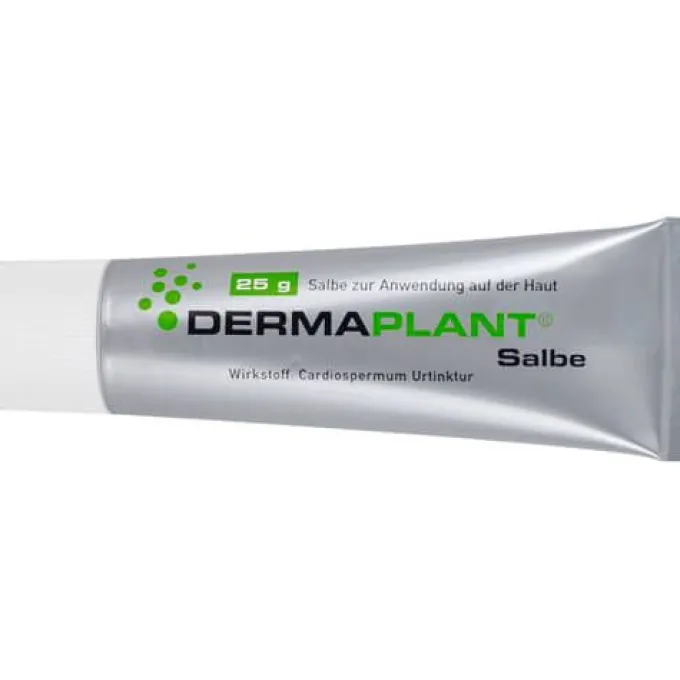 DERMAPLANT Salbe 25 g