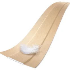 DERMAPLAST SOFT Pflaster 6 cmx5 m 1 St