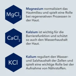 DERMASEL Totes Meer Winterwald Verwöhnbad 1 P