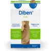 DIBEN DRINK Cappuccino 1.5 kcal/ml Trinkflasche 800 ml