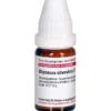 DIPSACUS silvestris D 12 Globuli 10 g