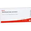 DISCI/Viscum comp.cum Stanno Ampullen 10X1 ml