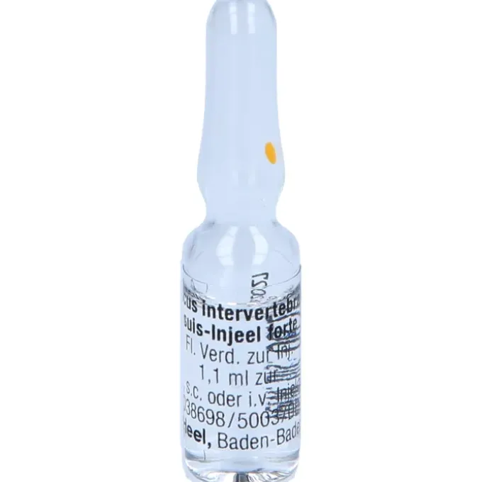 DISCUS INTERVERTEBRALIS suis Injeel forte Ampullen 10 St