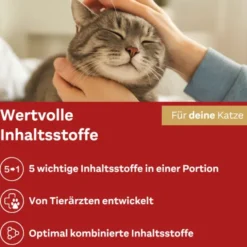 DOPPELHERZ für Tiere Anti-Hairball Complex Katzen 25X10 g