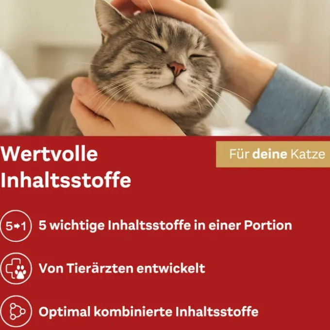 DOPPELHERZ für Tiere Anti-Hairball Complex Katzen 25X10 g