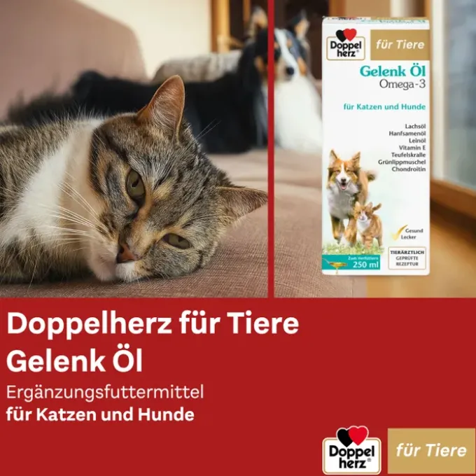 DOPPELHERZ für Tiere Gelenk Öl f.Hunde/Katzen 250 ml
