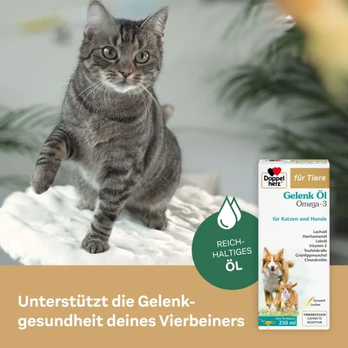 DOPPELHERZ für Tiere Gelenk Öl f.Hunde/Katzen 250 ml