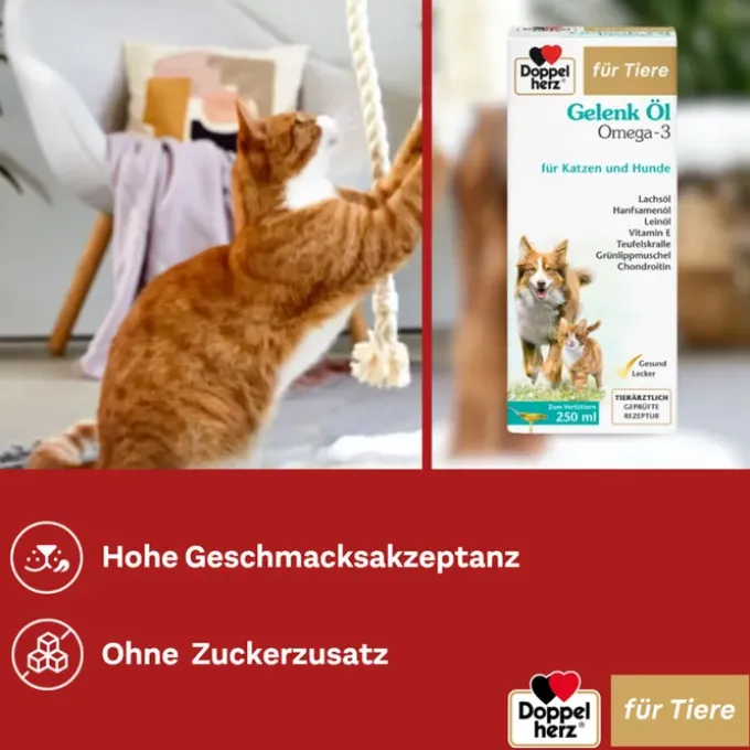 DOPPELHERZ für Tiere Gelenk Öl f.Hunde/Katzen 250 ml