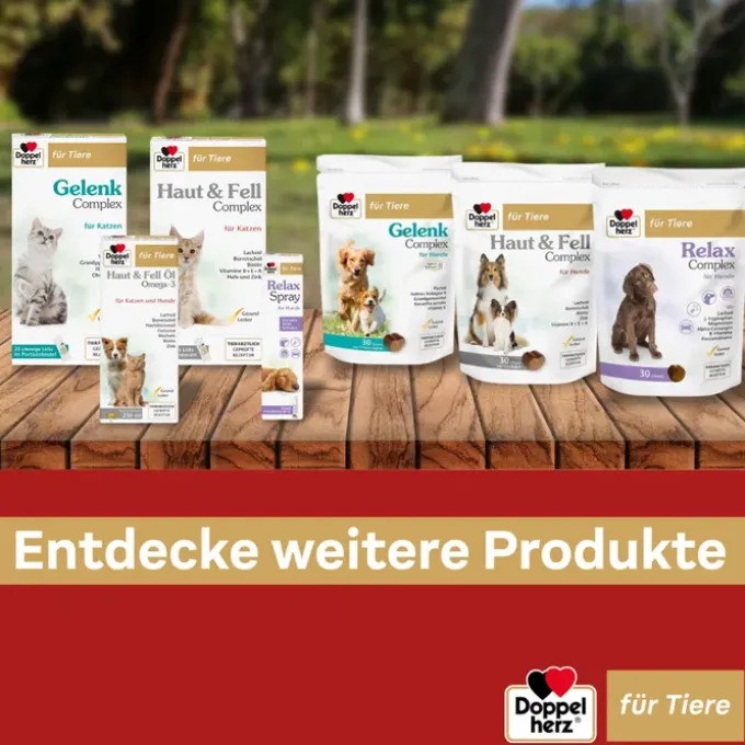 DOPPELHERZ für Tiere Gelenk Öl f.Hunde/Katzen 250 ml