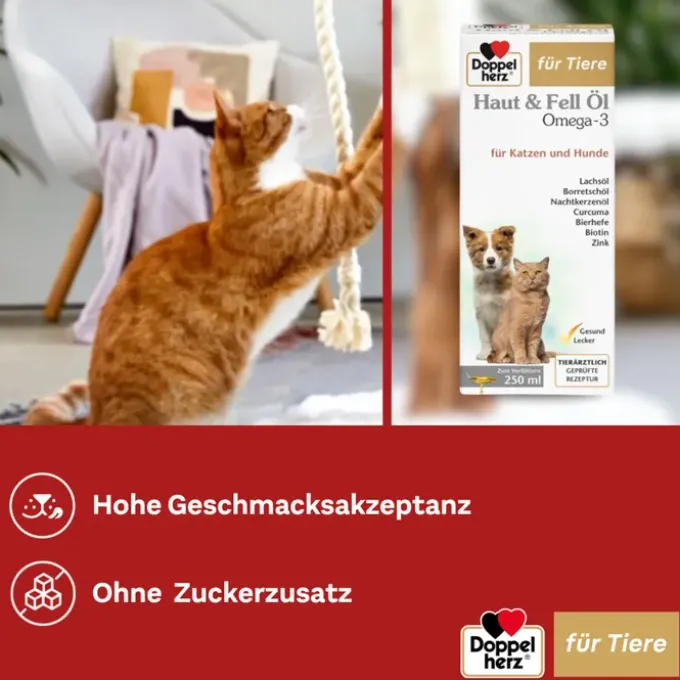 DOPPELHERZ für Tiere Haut&Fell Öl f.Hunde/Katzen 250 ml