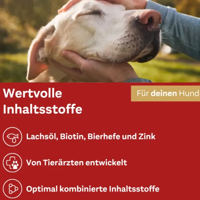 DOPPELHERZ für Tiere Haut&Fell Compl.Chews f.Hunde 30 Stück