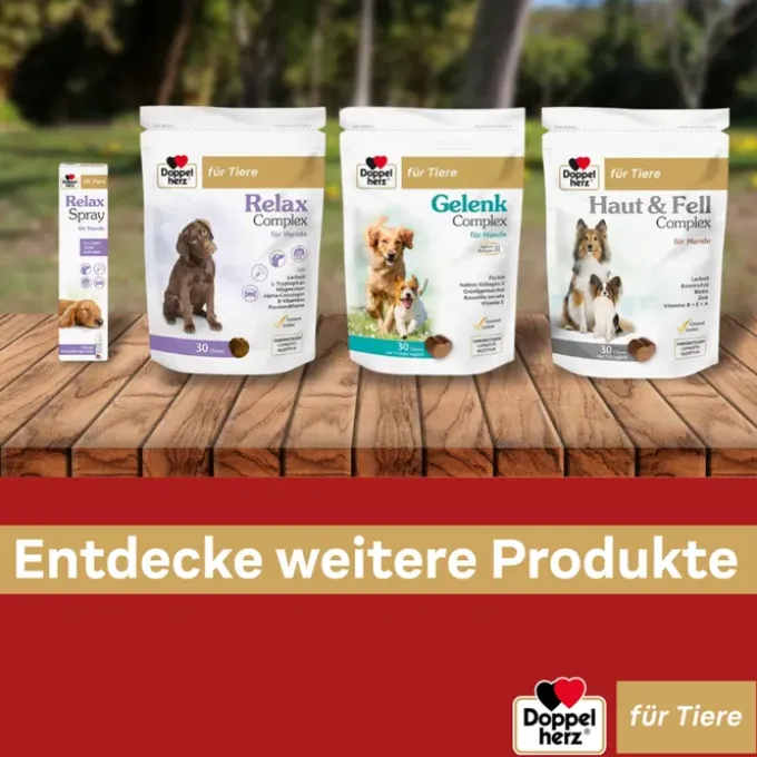 DOPPELHERZ für Tiere Haut&Fell Compl.Chews f.Hunde 30 Stück