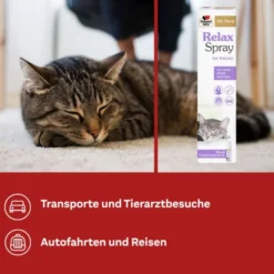 DOPPELHERZ für Tiere Relaxspray f.Katzen 90 ml