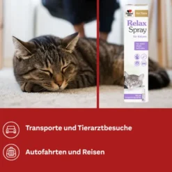 DOPPELHERZ für Tiere Relaxspray f.Katzen 90 ml