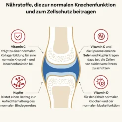 DOPPELHERZ Kollagen 11.000 Plus system Ampullen 30 Stück