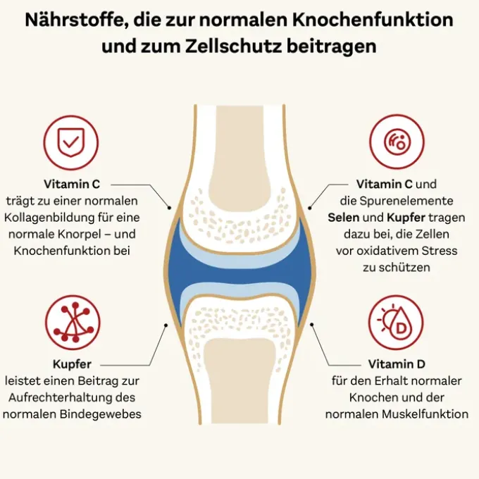 DOPPELHERZ Kollagen 11.000 Plus system Ampullen 30 Stück