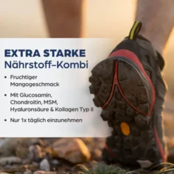 DR.BÖHM Knorpel & Knochen intensiv Trinkpulver 30 Stück